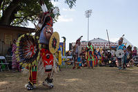 IMG 6035