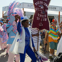 Original Pigeon Town Steppers