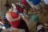 IMG 6371