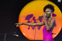 IMG 4686