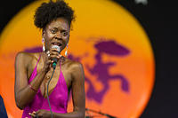 IMG 4719