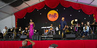 IMG 4812