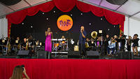 IMG 4819