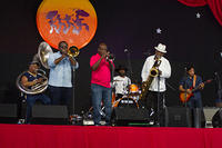 IMG 5245