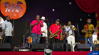 IMG 5536