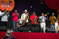 IMG 5541