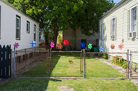 IMG 6677