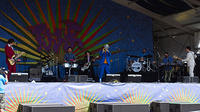 IMG 6698