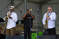 IMG 7184