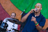 IMG 7242