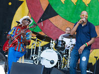 IMG 7296