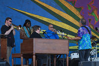 IMG 7560