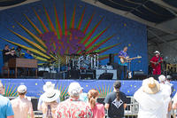 IMG 7681