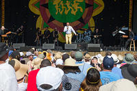 IMG 7852
