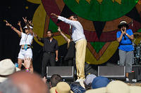 IMG 8262