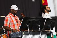 IMG 1541