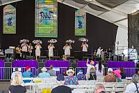 IMG 3757
