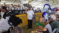 IMG 3868
