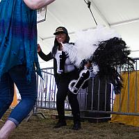 IMG 4145