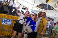 IMG 4166