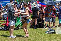 IMG 4428