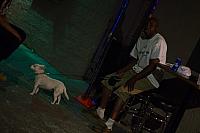 IMG 3563