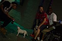 IMG 3570