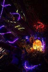 IMG 0680