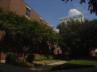 Madison 2