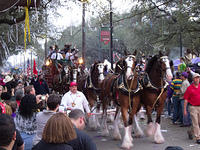 IMG-2620