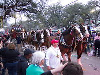 IMG-2624