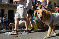IMG-6664