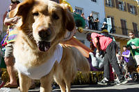 IMG-6672