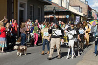 IMG-6680