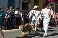 IMG-6707