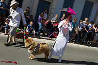 IMG-6712