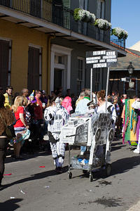 IMG-6781