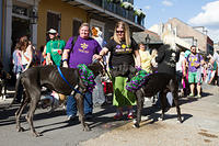 IMG-6803