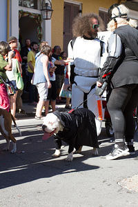 IMG-6816