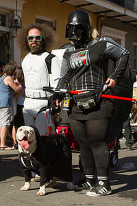 IMG-6819