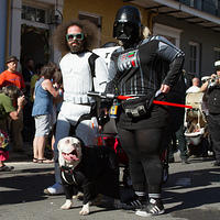 IMG-6820