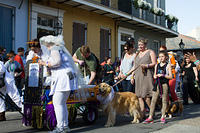 IMG-6830