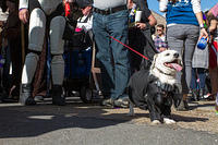 IMG-6857