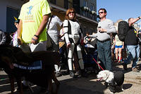 IMG-6859