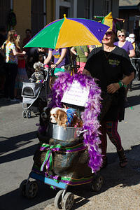 IMG-6886