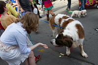 IMG-6955