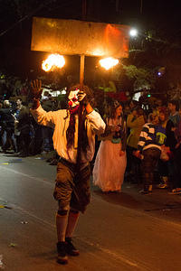 IMG-7242