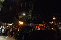 IMG-7250