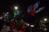IMG-7335