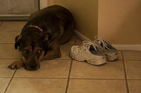 IMG_1947